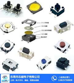 東莞市志順電子 專業(yè)供應(yīng)硅膠輕觸開(kāi)關(guān)，連接珠海等地的可靠批發(fā)合作伙伴